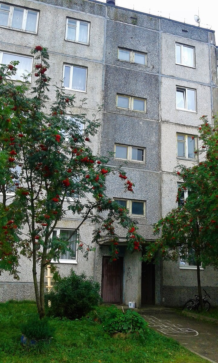 Здесь мы жили в 2017 году в городе Костомукше (Республика Карелия). Наш второй переезд)😃