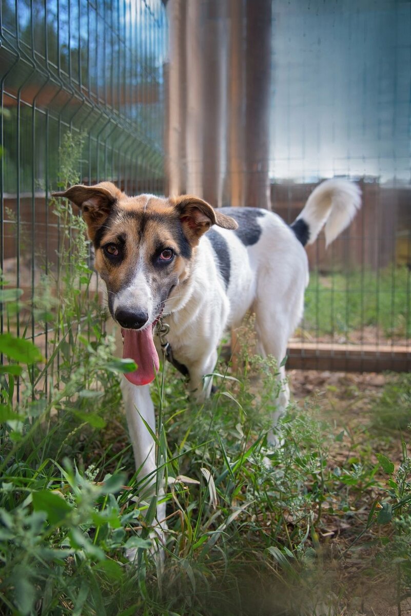 Радость и сюрприз для всех