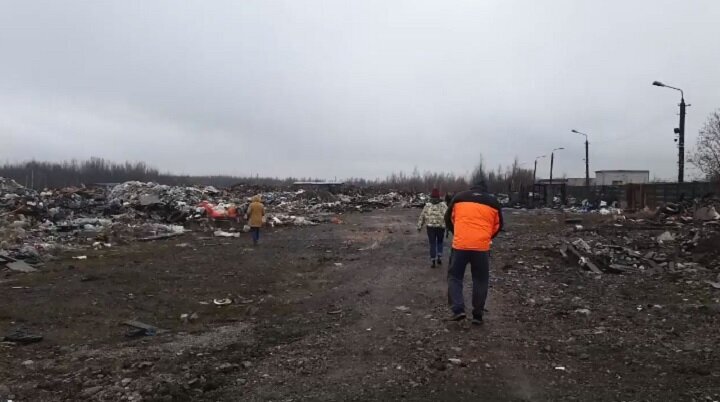 Одна из свалок в Красносельском районе СПб. Кадр из видео в ВК