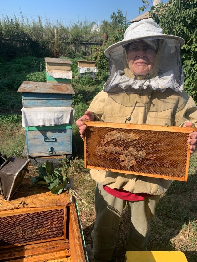    Бабушка Т.В.Останина на семейной мини-пасеке. Фото: Из личного архива
