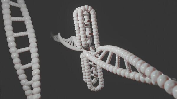    © Pixabay / PixiMe01