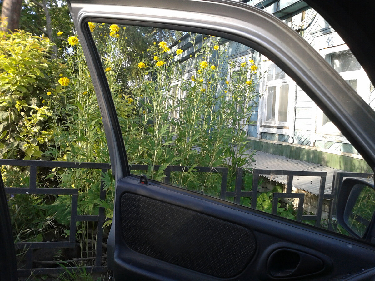 фото автора. За городом.