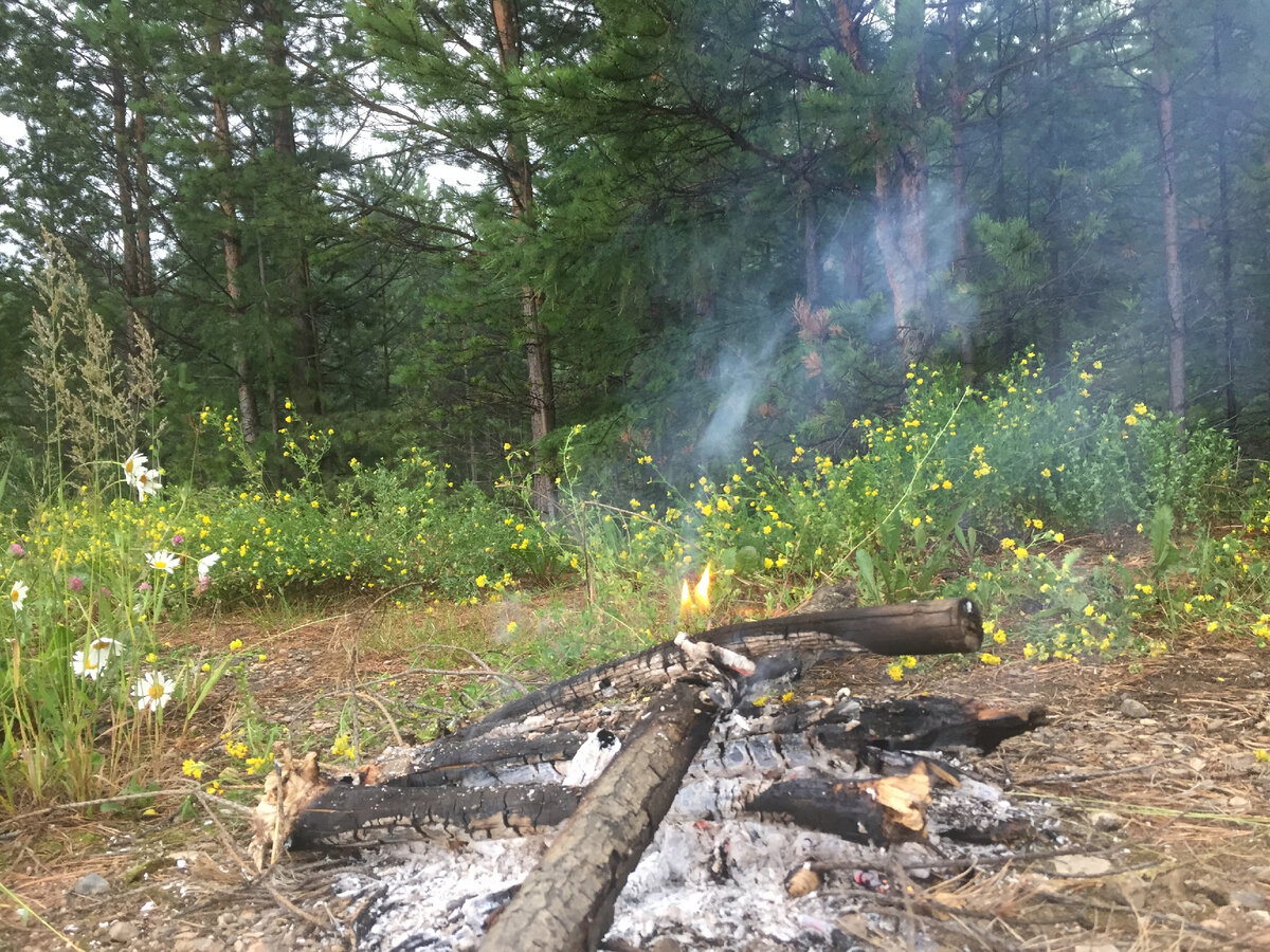 Ранняя осень, тут просто можно хворост собрать и этого хватит чтобы вскипятить чай или тушенку подогреть