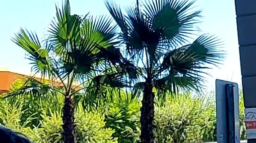 ПОЗИТИВ-МОЯ ЭНЕРГИЯ?? | Когда я просыпаюсь каждое утро, я благодарю Бога ...