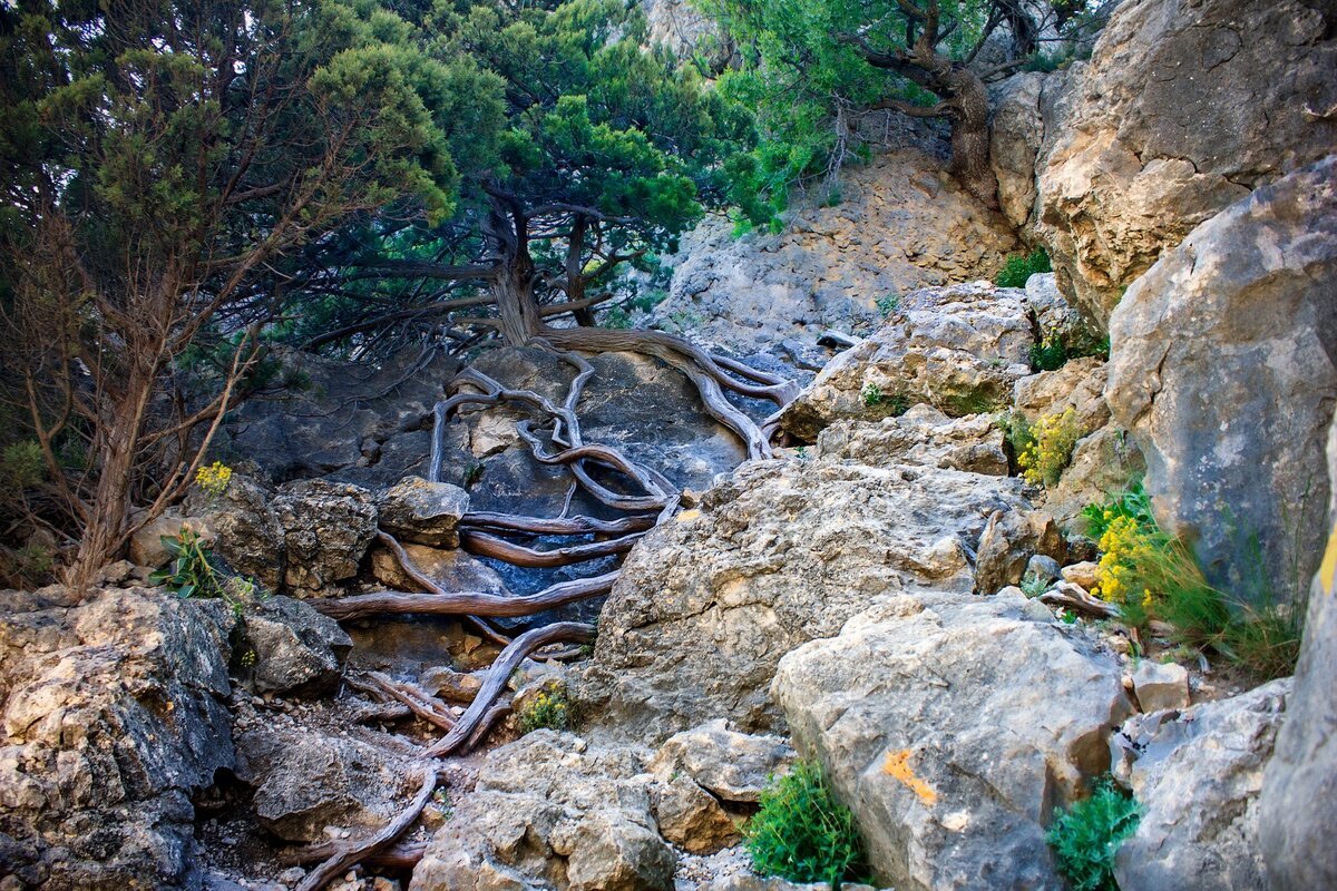 Фото (с) сайт "Крым удивляет" // Олег Дьяков и Зера Дьякова