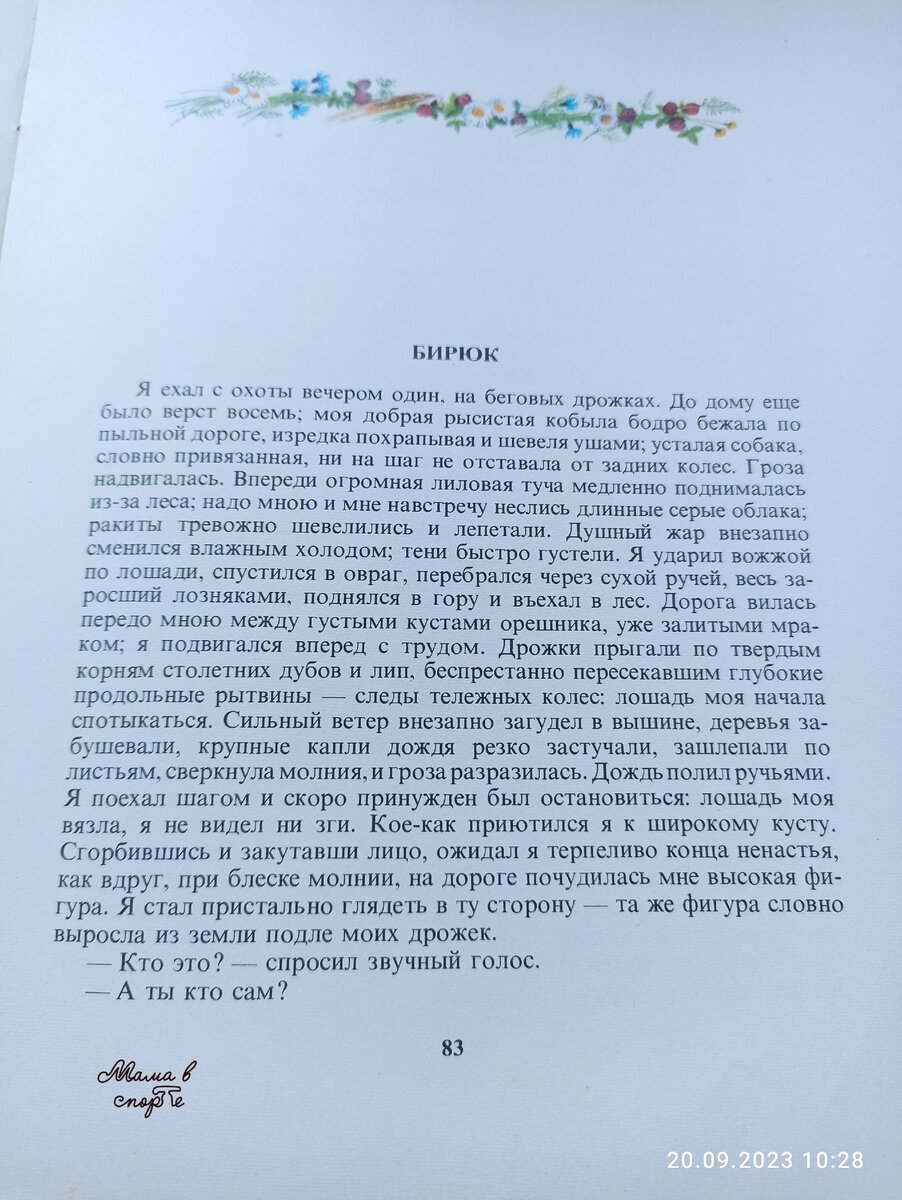 Что в работе лесников изменилось за 200 лет и какая связь со школой | Мама  в спорте | Дзен