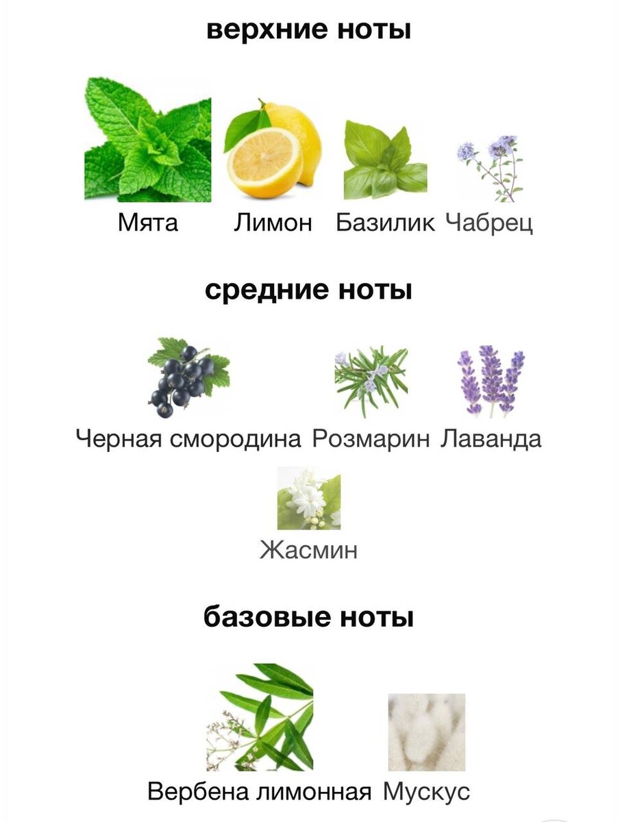 Изображение взято с сайта https://www.fragrantica.ru