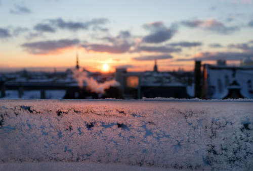 Яндекс.картинки