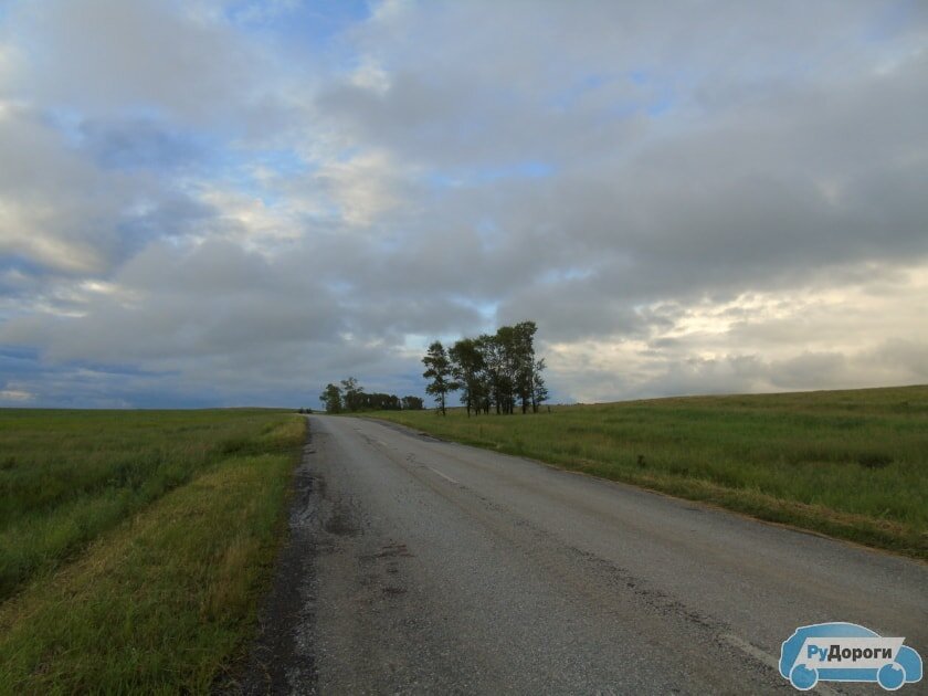 Село верх Камышенка Алтайский край. Верх-Камышенка Заринский. Топольное дорога. Деревня Камышенка. Камышенка алтайский край завьяловский