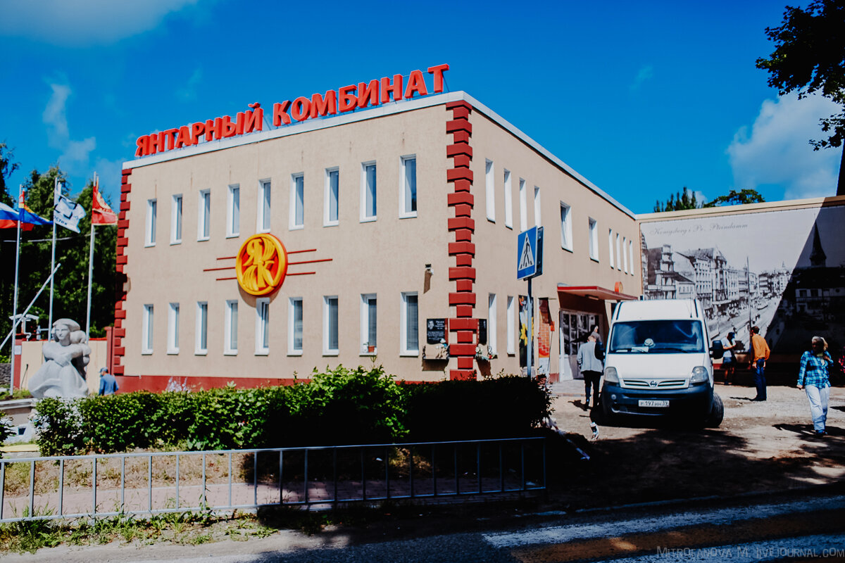 Янтарная галерея. Янтарная галерея москва арбат. Янтарная лавка калининград. Лузгованный янтарь. Янтарный комбинат арбат.