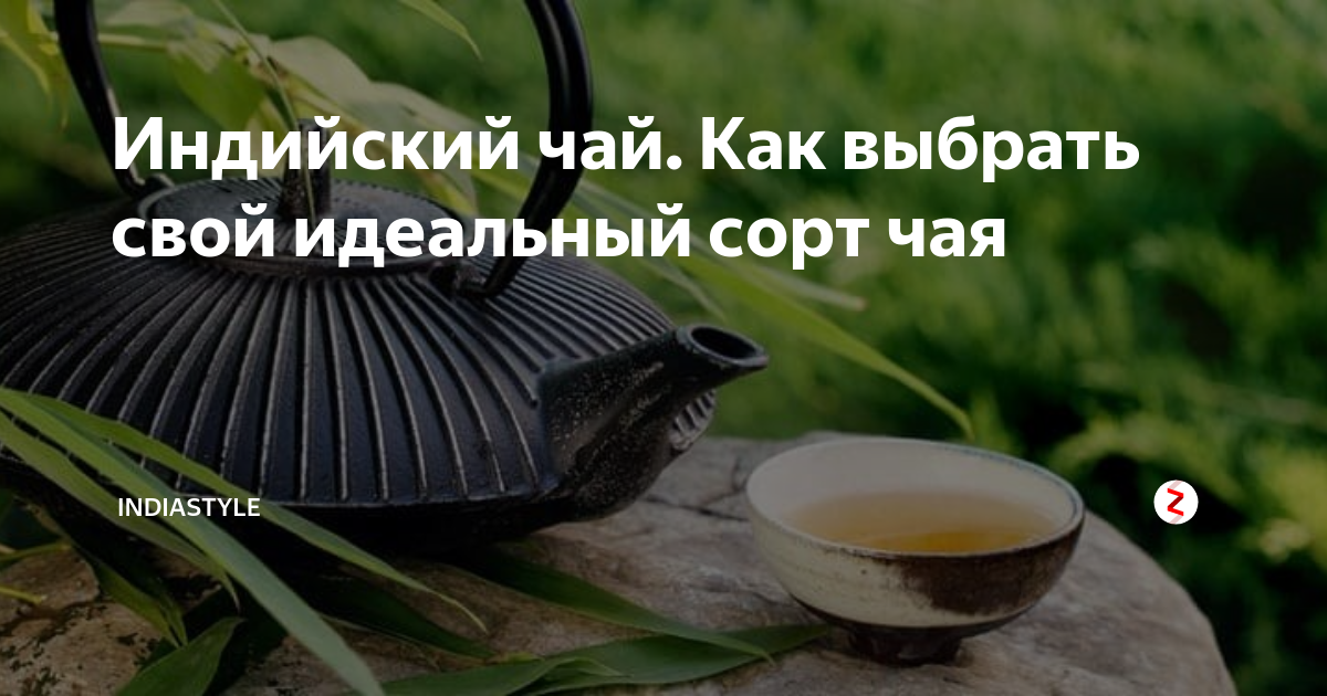 Индийский чай. Как выбрать свой идеальный сорт чая | INDIASTYLE.RU | Дзен