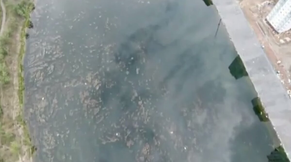 Не совсем чистый Енисей