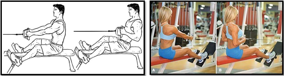 Техника выполнения. Спина прямая, ровная.