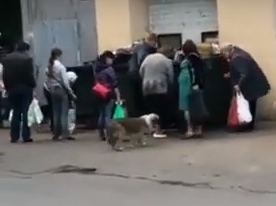 кадр из видео (источник социальные сети) 
