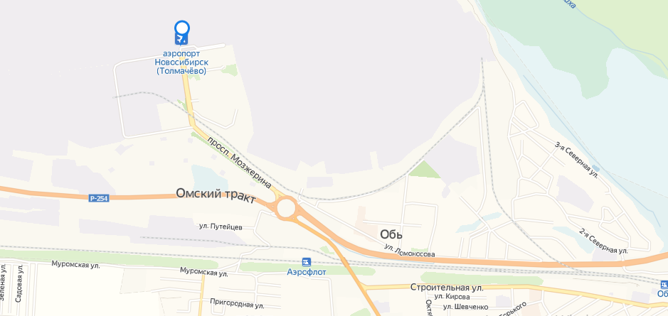 На схеме видно, что железнодорожный путь (обозначен серым) не дотягивает до аэропорта какие-то  сотни метров.  /Яндекс - карты