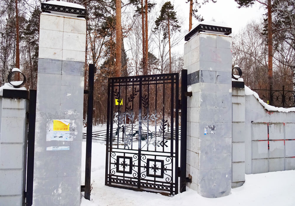 Загородный дом. Кошка принесла неизвестную нам зверюшку. Забавная, рыжая и шевелит длинным носом