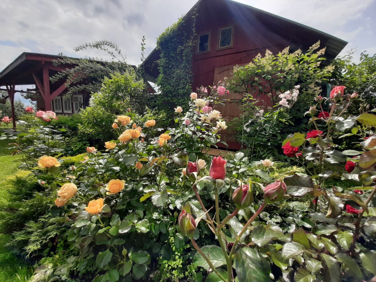 Июль 2019 года