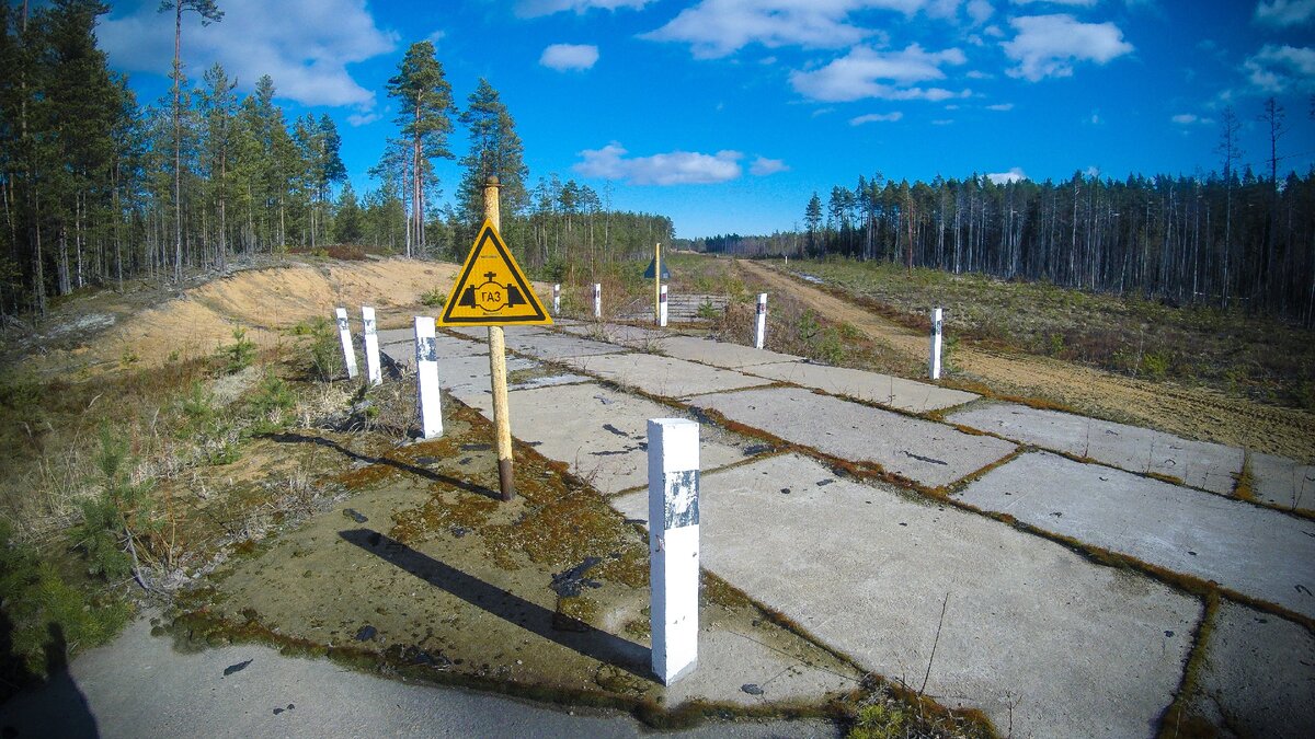 Необычная просека. Показываю, как выглядит газопровод «Северный поток» |  Станислав Миков (Даль светла) | Дзен