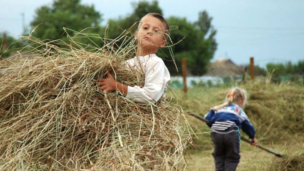 Человек на сене