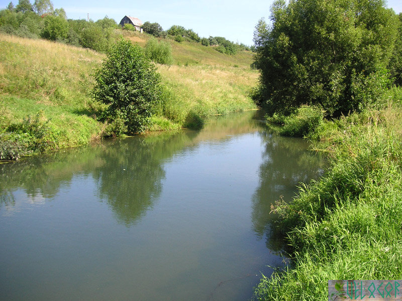 Река Высса с берега
