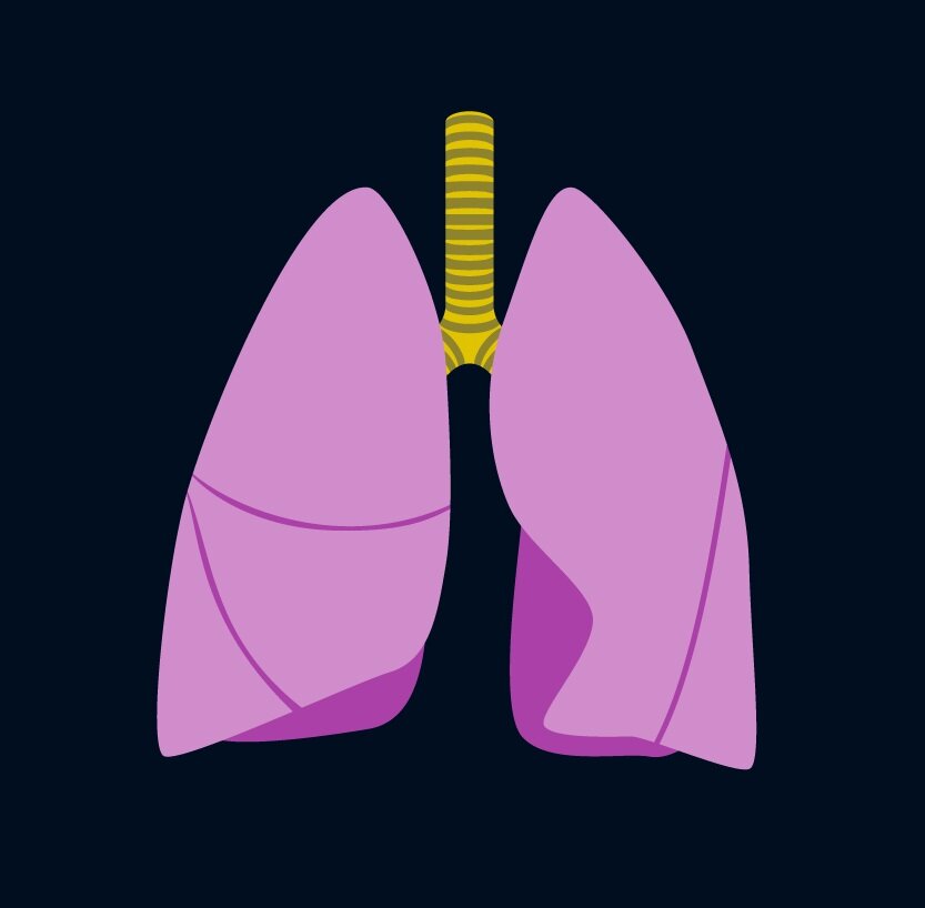 <a href="https://www.vectorstock.com/royalty-free-vector/icons-set-in-flat-style-human-organ-lungs-and-vector-19127840">Vector image by VectorStock / Anastasia8</a>