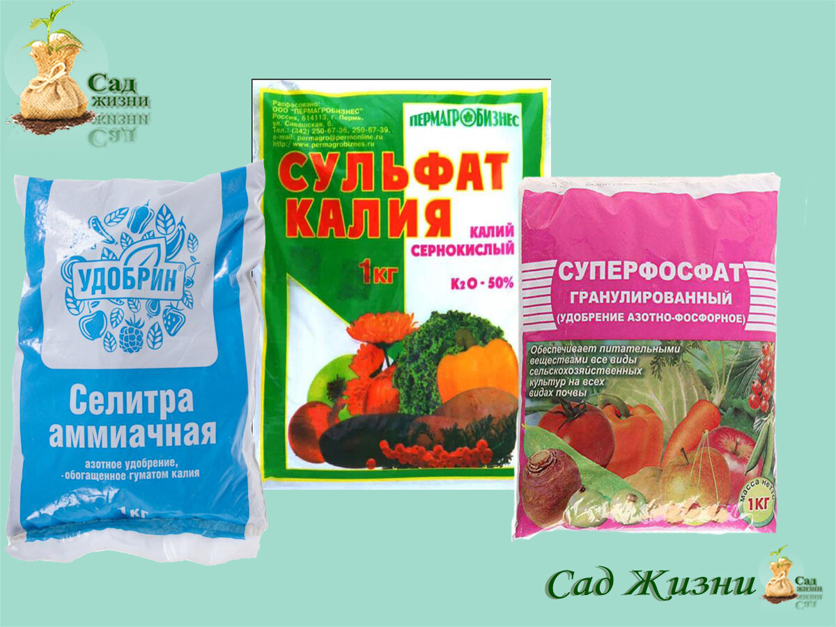 Удобрения для рассады