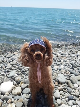 Хорошо на море! Фото из личного архива