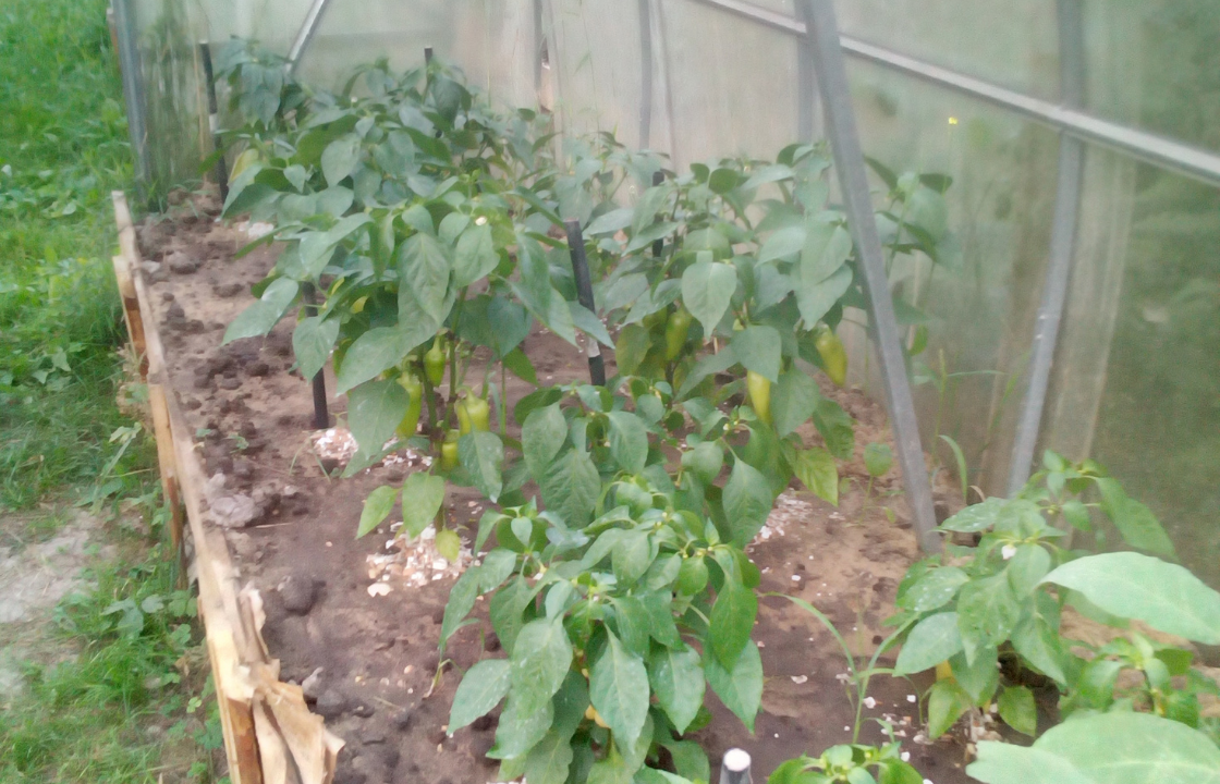 Ближе к камере Белозерка. Следом видно Толстячок 