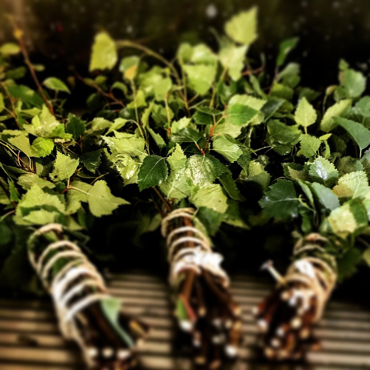 Изображение Jussum с сайта Pixabay, используется по лицензии Simplified Pixabay License