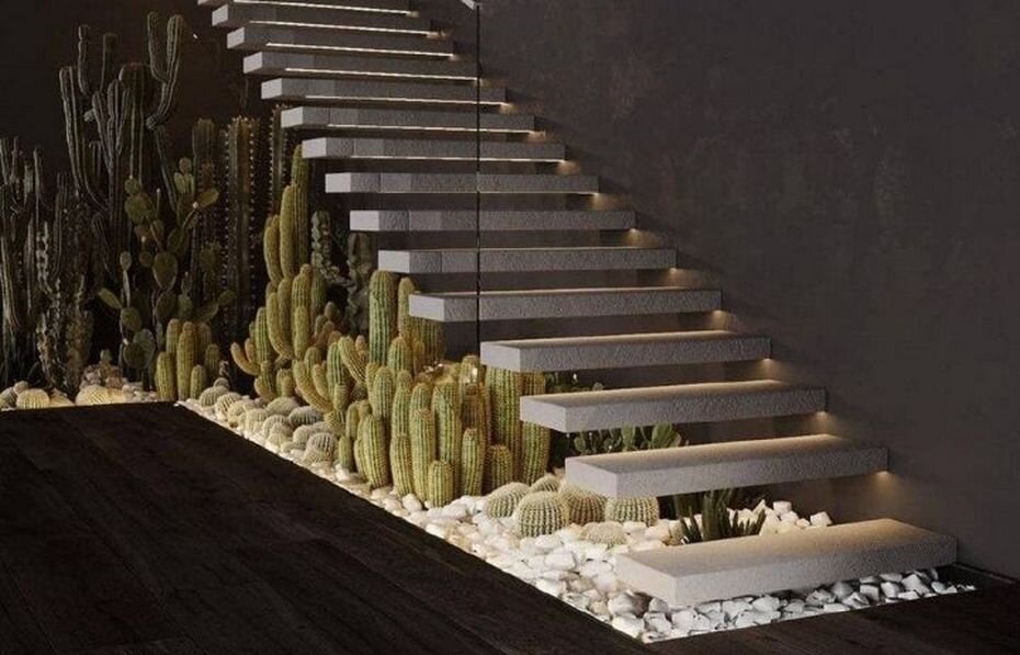 Кактусы под лестницей частного дома