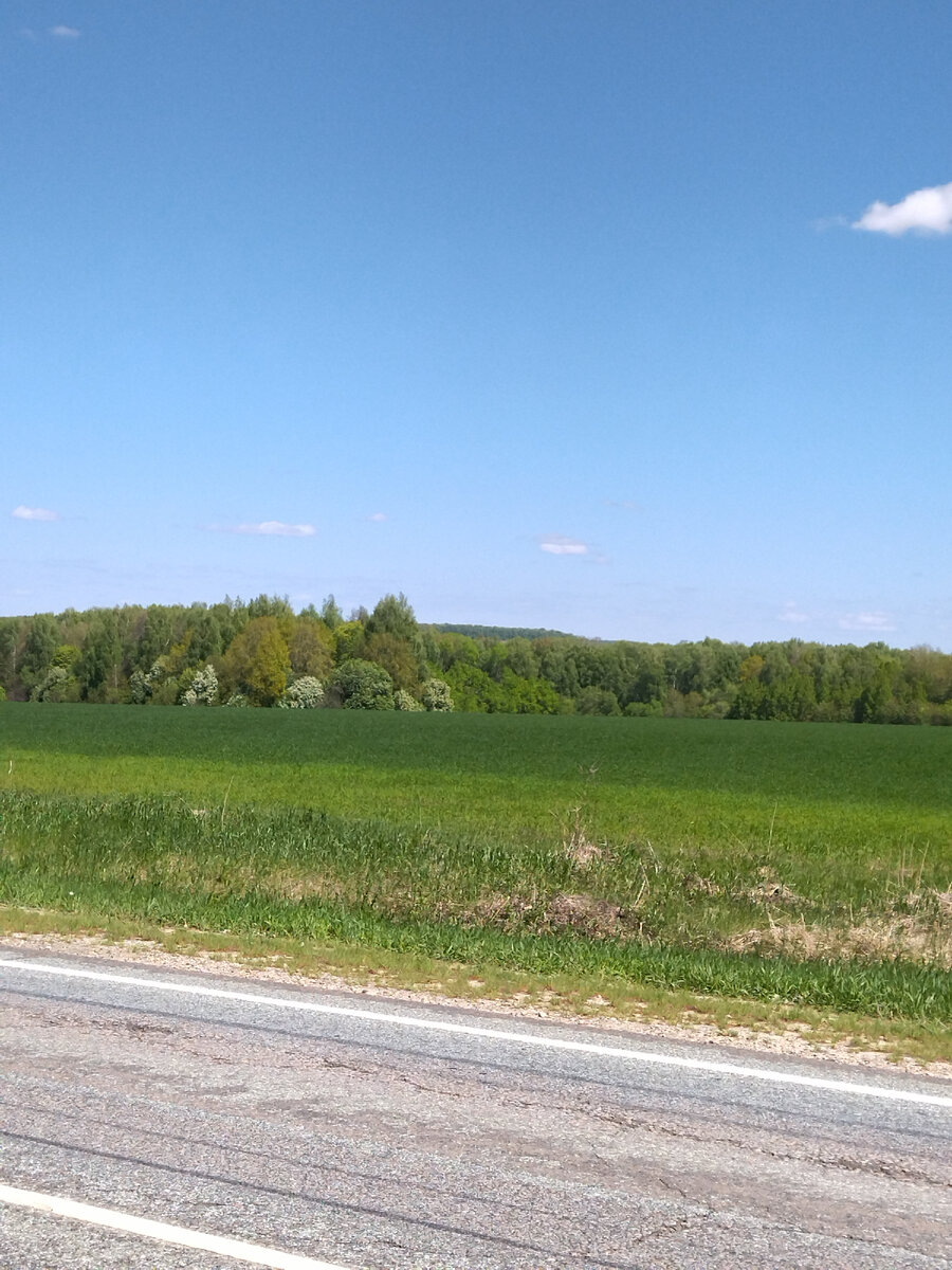 Прекрасный вид из окна