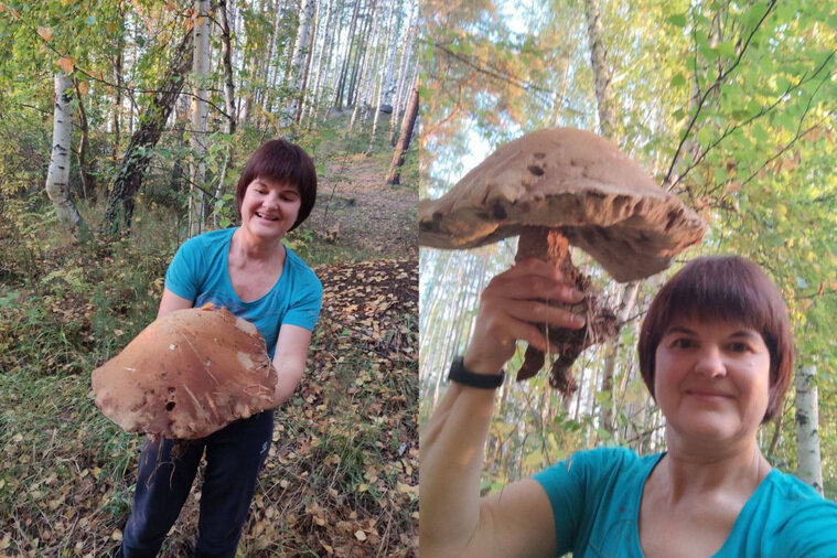    Гриб-гигант оказался непригоден для еды