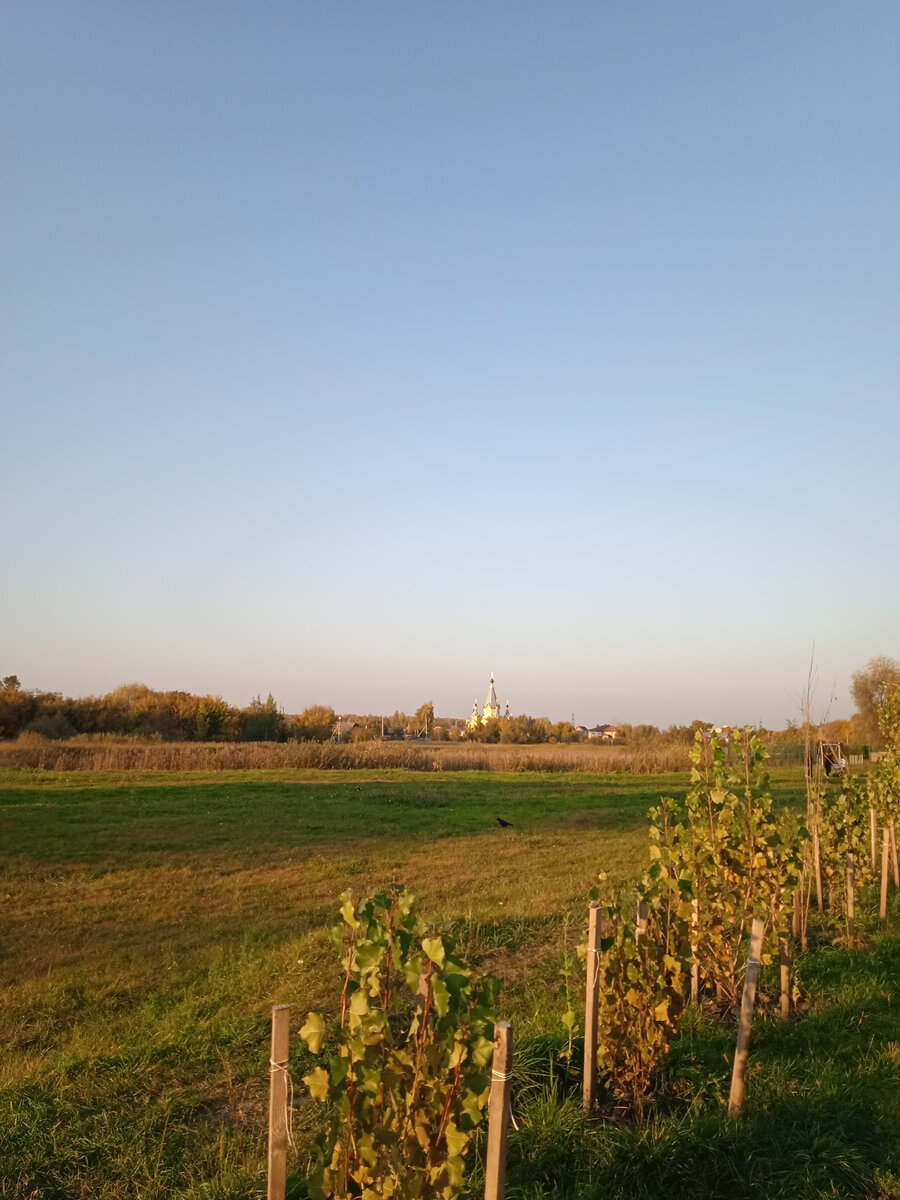 Золотая осень