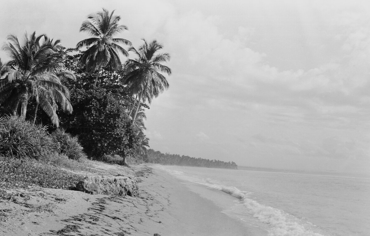 © Стужин Алексей/Фотохроника ТАСС