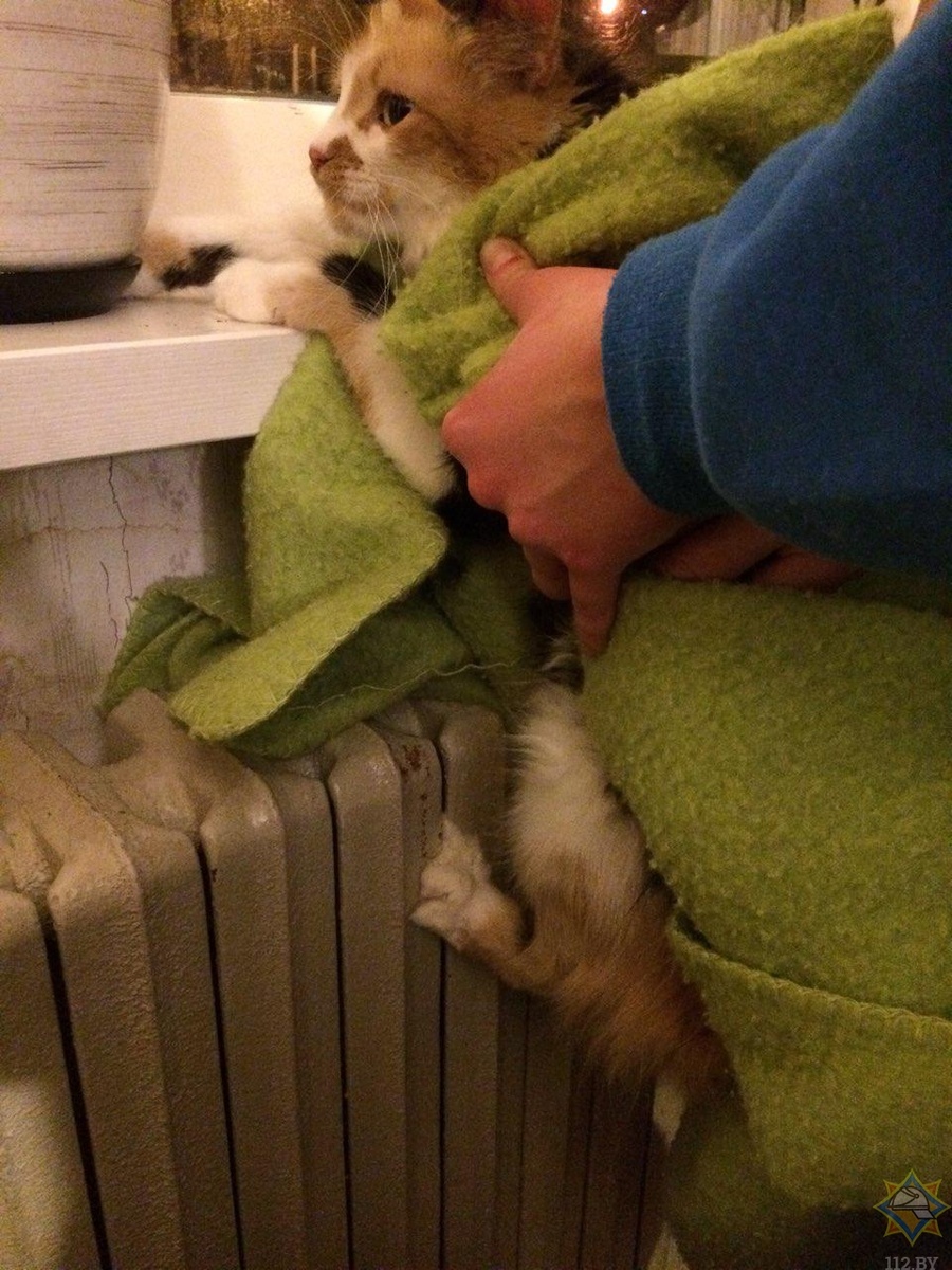 Фото: МЧС Беларуси