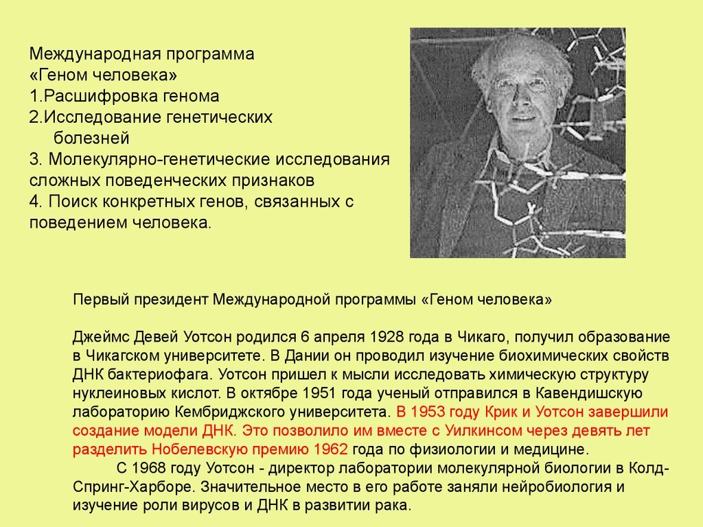 Международная программа геном человека презентация