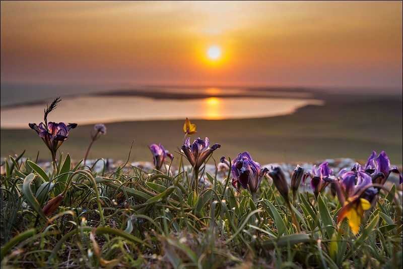На Крымском полуострове Фото: Сергей Анашкевич, © ForPost (sevastopol.su)
