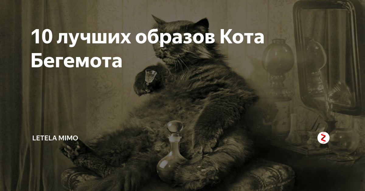 Включи историю кота бегемота. Образ кота бегемота. Кот Бегемот я в восхищении. Лучшие фразы кота бегемота. Цитаты кота бегемота из мастера и Маргариты.