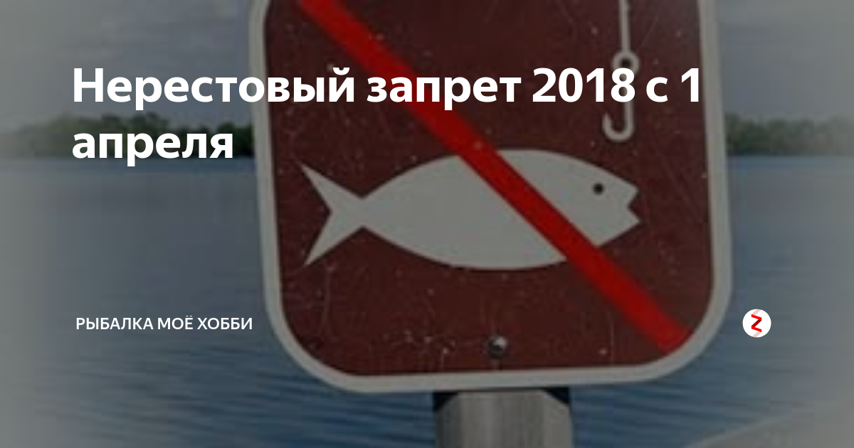 Нерестовый запрет 2024 году в саратовской области