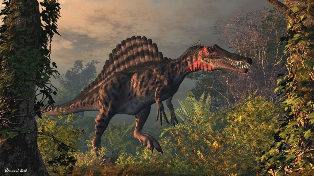 Крупнейший хищник на земле. Динозавр Спинозавр. Хищные динозавры Спинозавр. Аллозавр Карнозавр. Спинозавр Египетский.