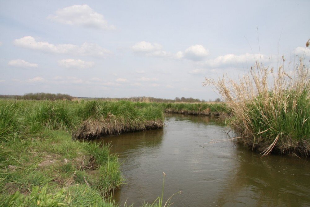 Село томузловское карта