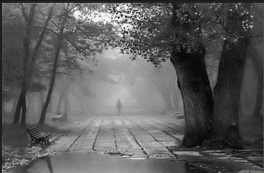 Фото из интернета (из открытых источников)