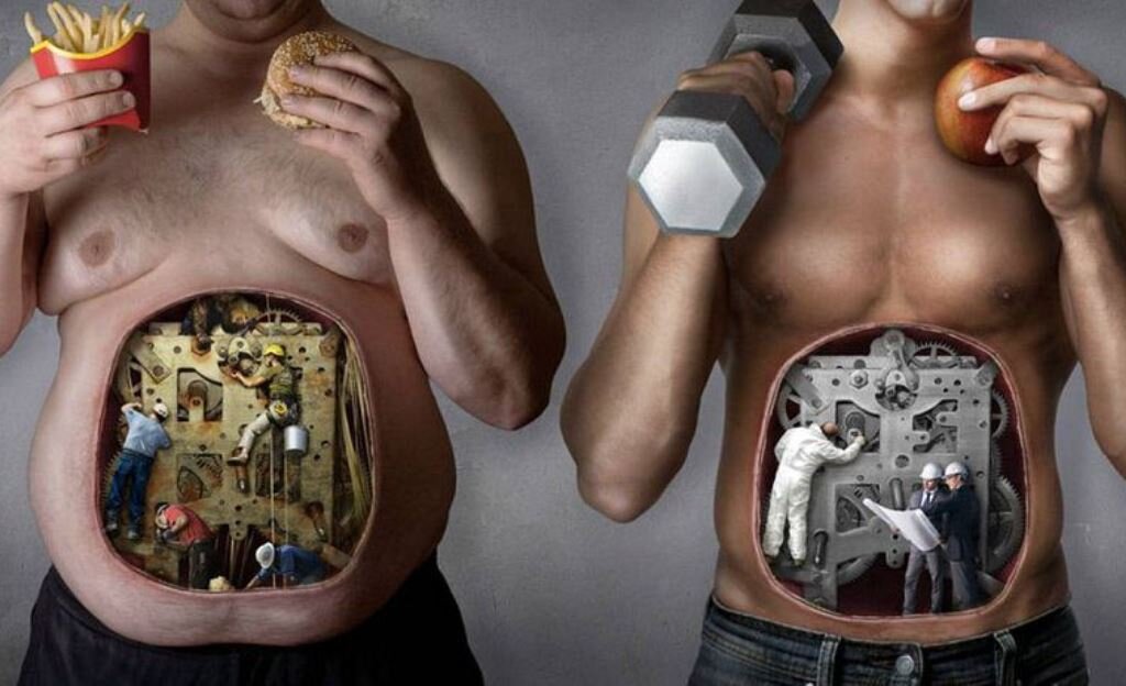 http://bodyzone.com.ua/wp-content/uploads/2016/07/Mif-----1-obmen-veshhestv-mozhno-kontrolirovat-polnostyu.jpg