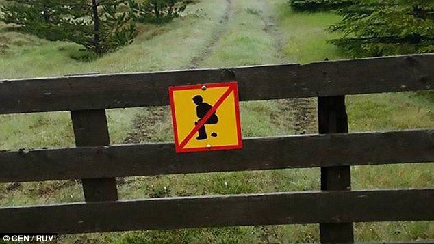  Даже если оборудуют то получится как-то так... 