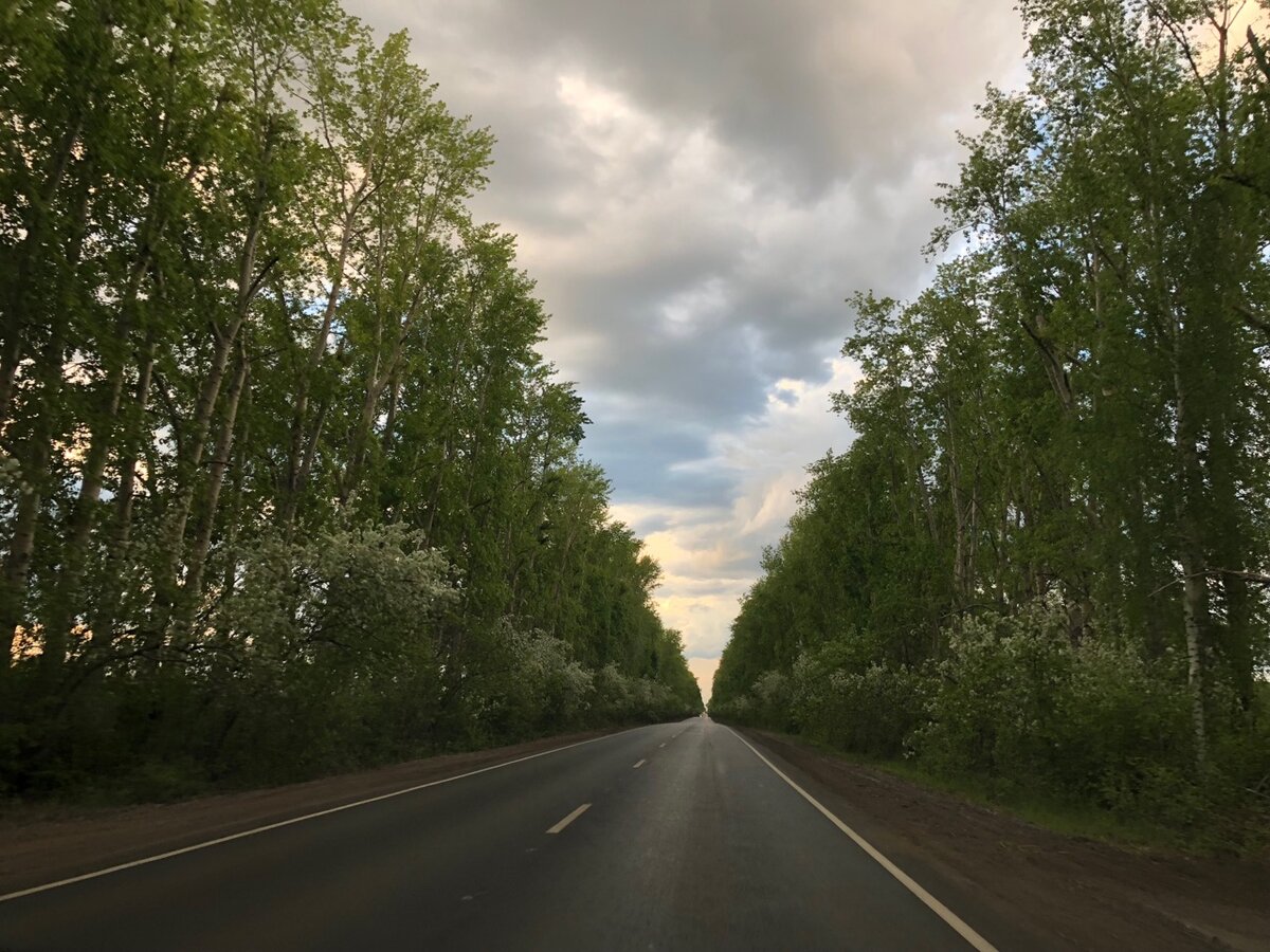 Луговое тюмень. Село Луговое Тюмень. Поселок Луговой Тюменская область. Тюменская обл село Луговое улица 60 октября?. Обочины дорог луговые Польша.