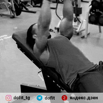 Показывает фитнес модель Ulisses Jr 