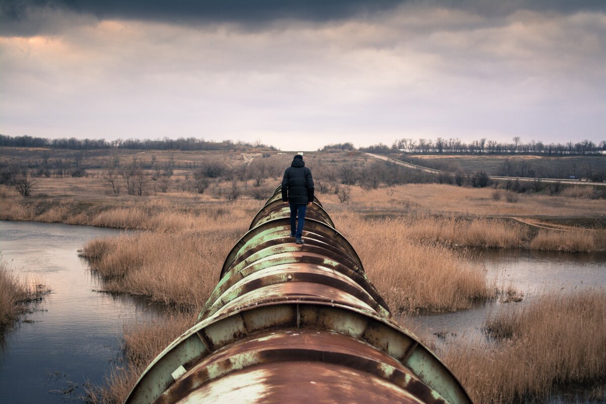 Источник фото: unsplash.com
