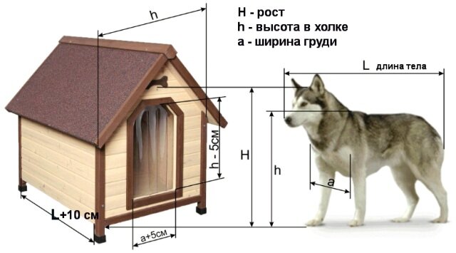 Вольер для немецкой овчарки во дворе частного дома: чертежи и размеры