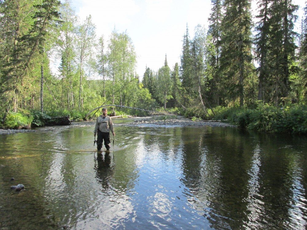 Сибирь 2015. Сибирь 2015. Сибирь 2015. Ангарский кряж. Салават сибирь.
