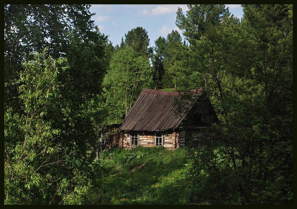 Дом стоявший на опушке леса. Дом стоявший на опушке леса